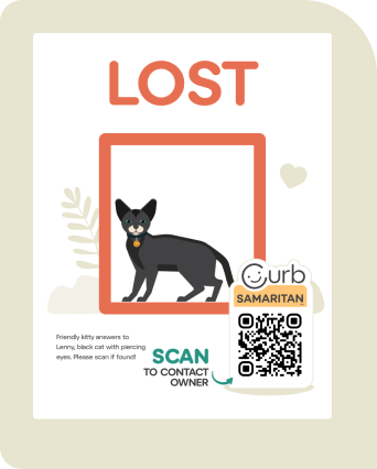 Lost cat poster