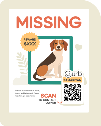 Lost dog poster